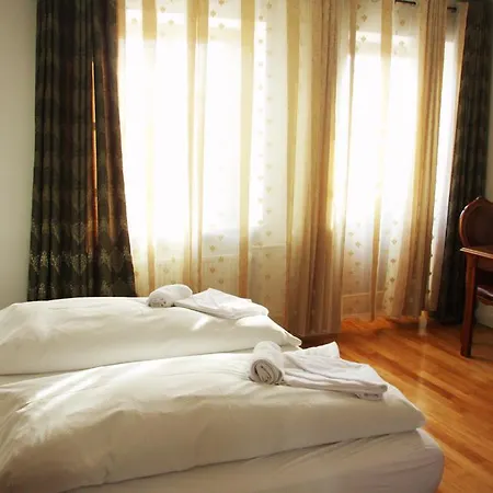 Viktoria Hotel 2*