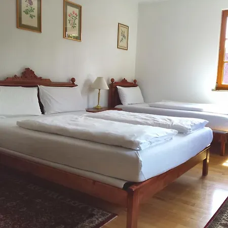 Hotel Viktoria 2*