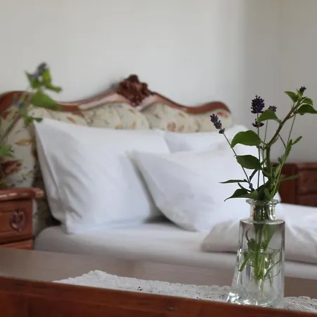 Viktoria فندق ميرسبرغ