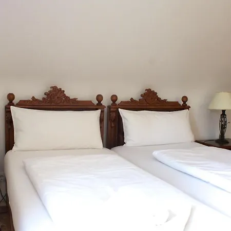 Viktoria Hotel 2*