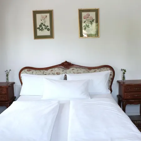 Hotel Viktoria