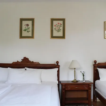 Viktoria Hotel 2*