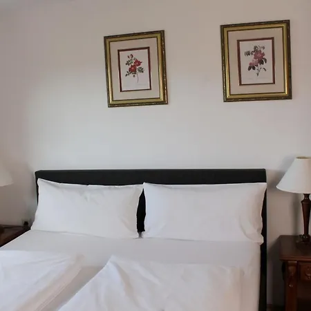 Hotel Viktoria 2*