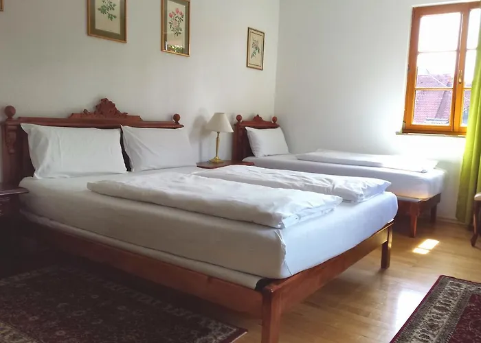 فندق Viktoria 2*