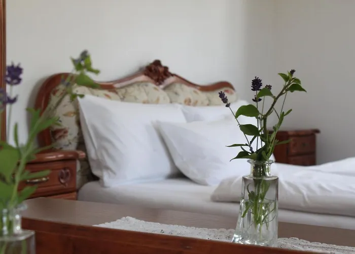 Viktoria Hotel Meersburg